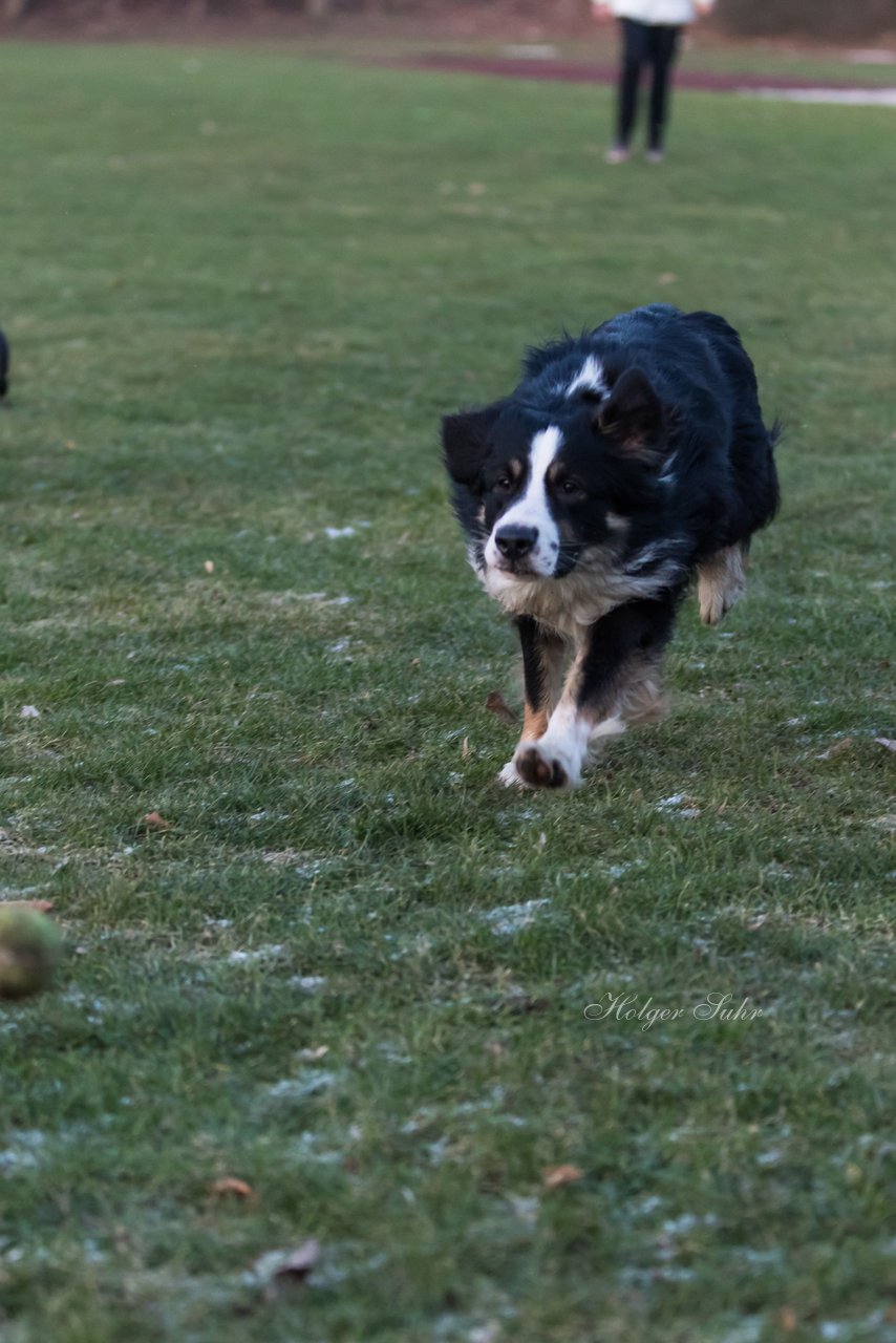 Bild 110 - Hundeshooting